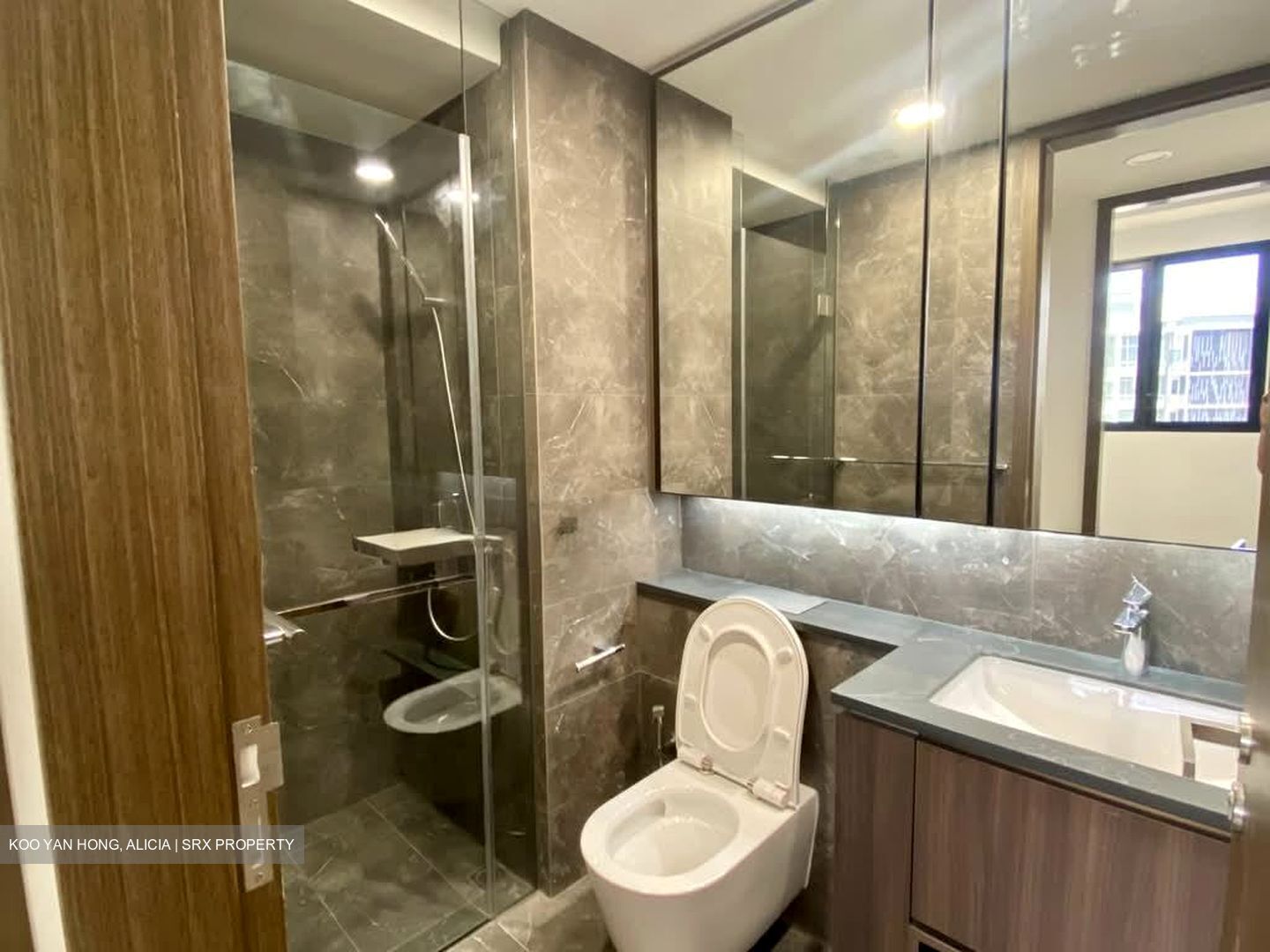 Kopar At Newton (D9), Apartment #534181141